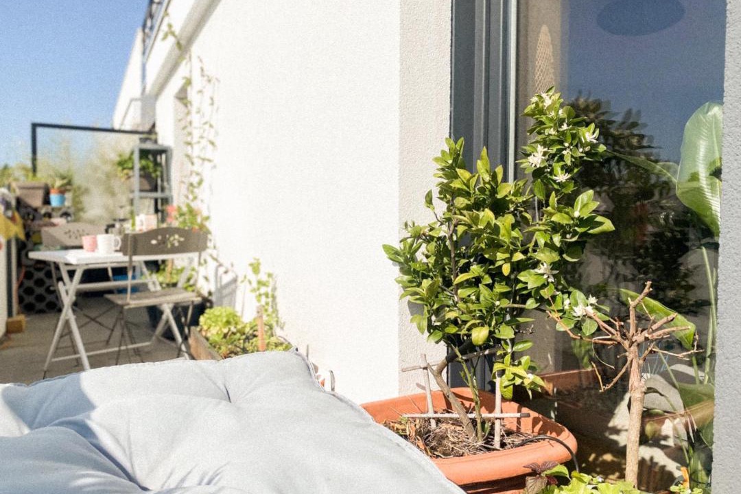 Photo of Patio Balcony in Vaires-sur-Marne