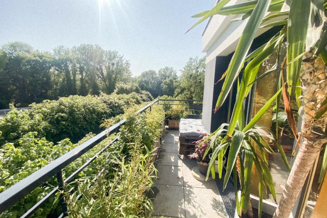 Photo of Patio Balcony in Vaires-sur-Marne
