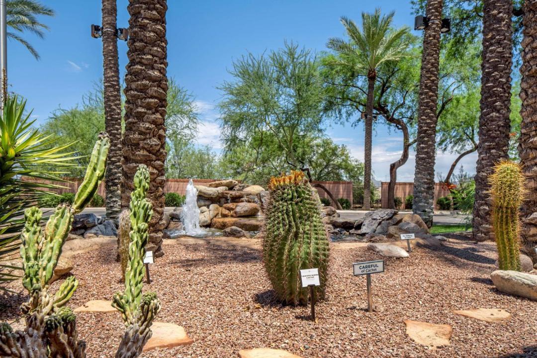 Photo of Others in North Scottsdale