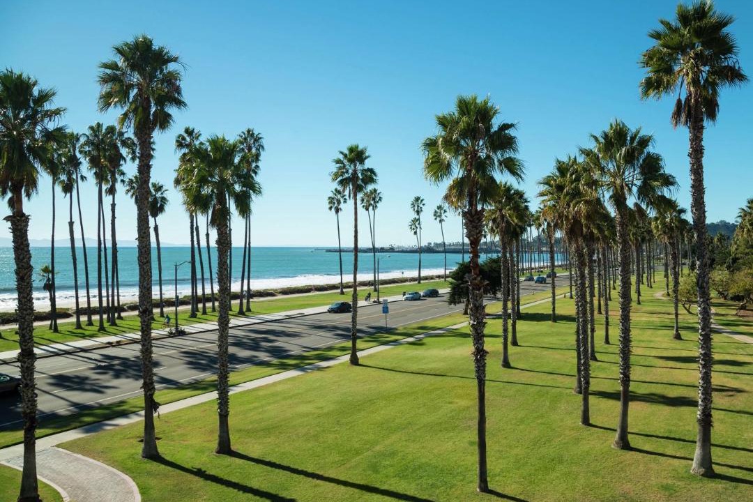Photo of Others in East Beach