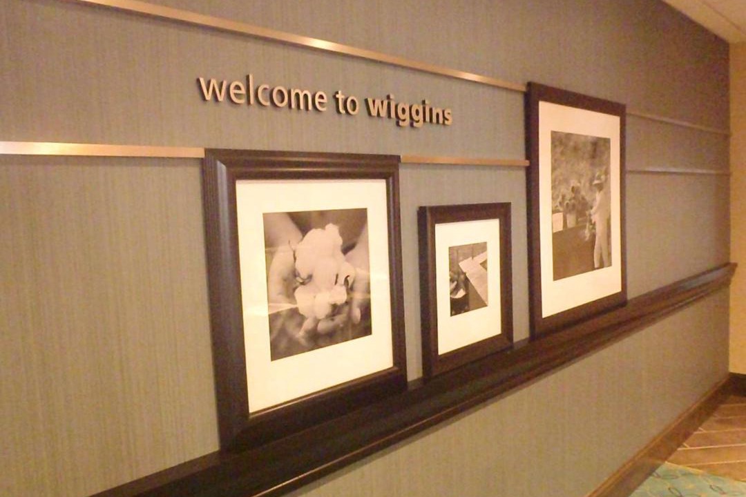 Photo of Others in Wiggins