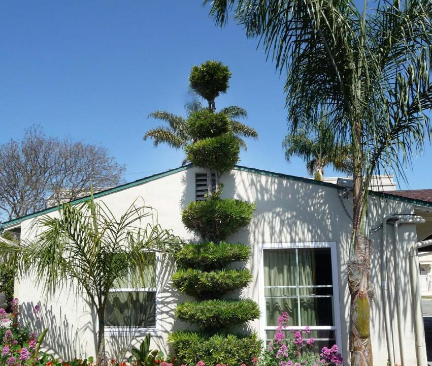 Photo of Others in Ventura