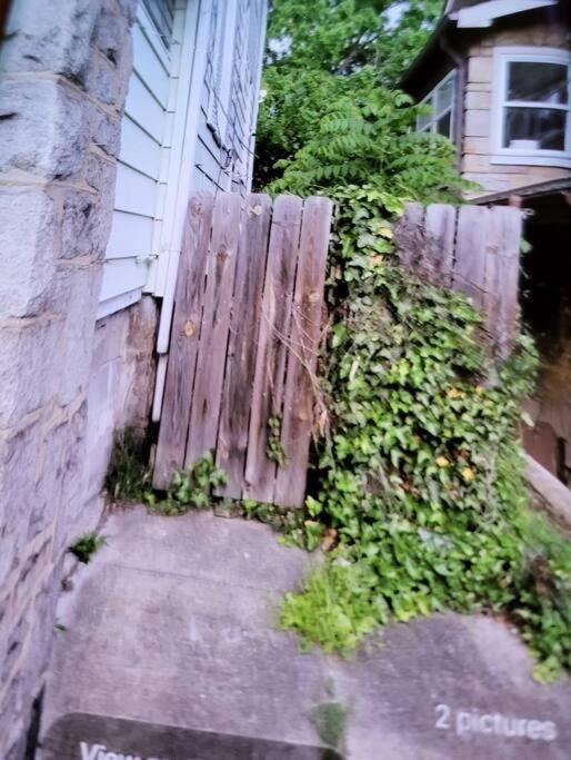 Photo of Others in Brookland