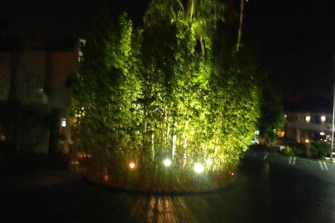 Photo of Others in Park Estates