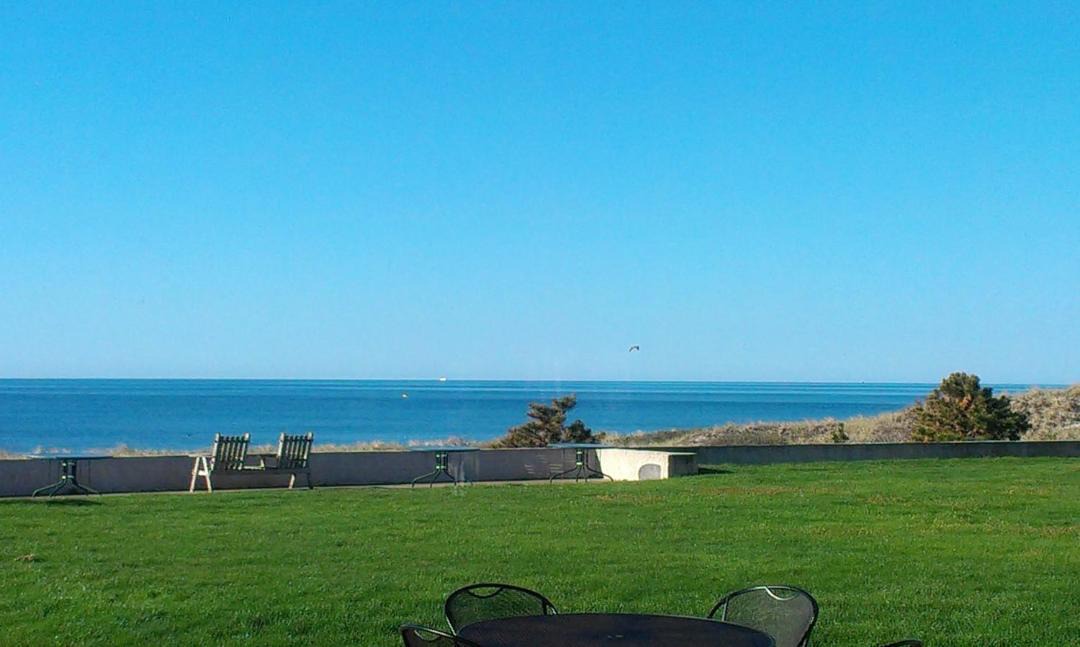 Photo of Others in South Yarmouth