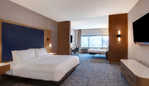 Room, 1 King Bed with Sofa bed