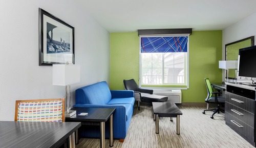 Suite, 1 King Bed with Sofa bed