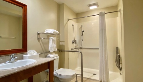 Standard Room, 1 King Bed, Accessible Roll-In Shower, Non Smoking