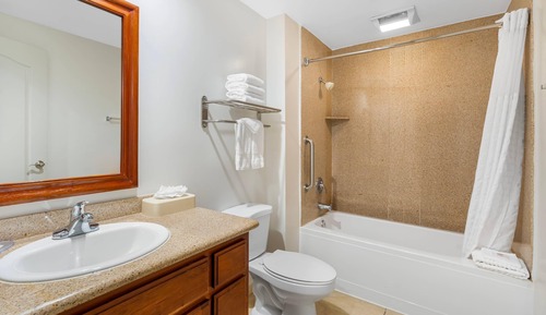 Deluxe Room,1 King Bed, Pool View, Non Smoking