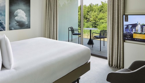 Executive Room, 1 King Bed, Terrace (Forest View)