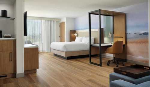 Executive Suite, 1 King Bed with Sofa bed (no view)
