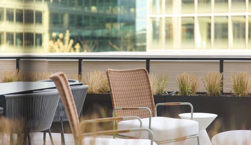 Suite, 1 Bedroom, Terrace