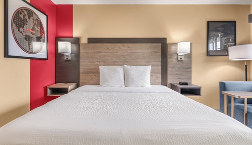 Classic Single Room, 1 King Bed, Non Smoking