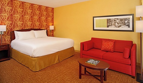 Room, 1 King Bed, Hearing Accessible (Roll-in Shower & Transfer Shower)