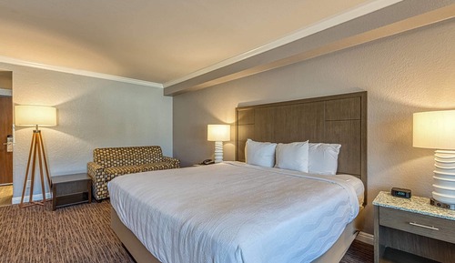 Standard Room, 1 King Bed, Non Smoking
