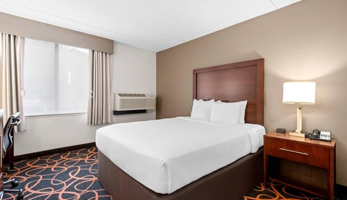Room, 1 Queen Bed