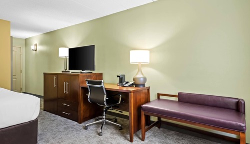 Business Room, 1 King Bed, Non Smoking