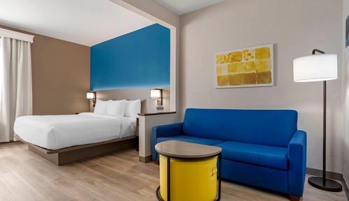 Suite, 1 King Bed with Sofa bed, Non Smoking