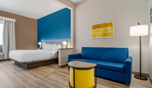 Suite, 1 King Bed with Sofa bed, Non Smoking (Accessible Tub)