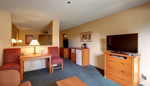 Room, 1 King Bed with Sofa bed, Mountain View (Mountain View King Mini Suite)