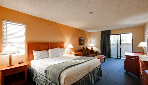Room, 1 King Bed, Mountain View