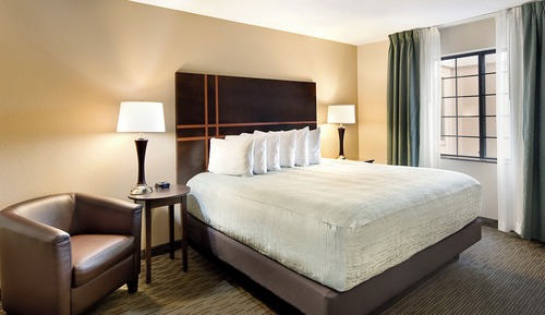 Standard Studio Suite, 1 King Bed with Sofa bed