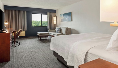 Room, 1 King Bed with Sofa bed, River View