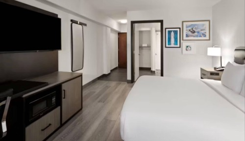 Standard Room, 1 King Bed, Roll-in Shower (Roll-In Shower, Mobility)