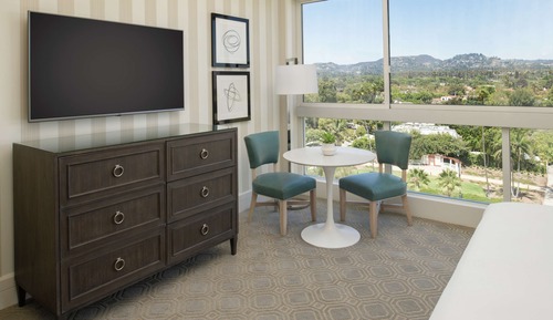 Deluxe Room Mobility/Hearing Access Bathtub