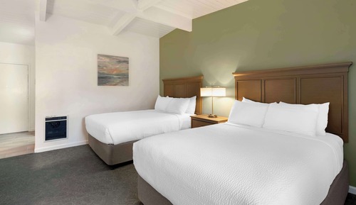 Standard Room, 2 Double Beds, Non Smoking, Kitchen