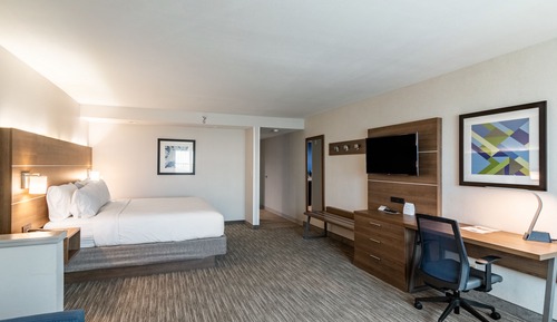 Suite, 1 King Bed with Sofa bed
