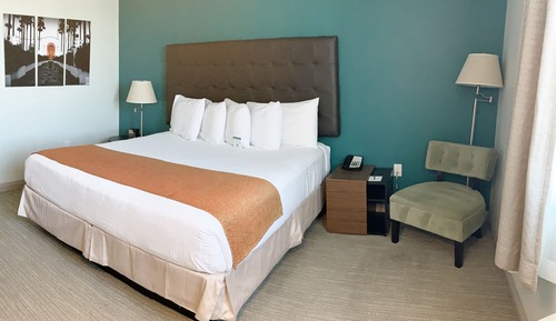 ADA Accessible Standard Room