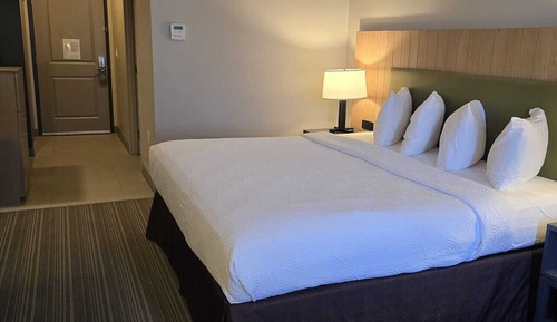 Room, 1 King Bed, Non Smoking