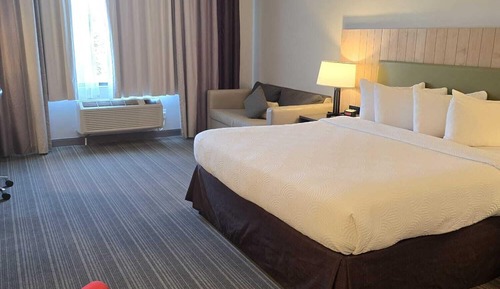 Room, 1 King Bed with Sofa bed, Non Smoking