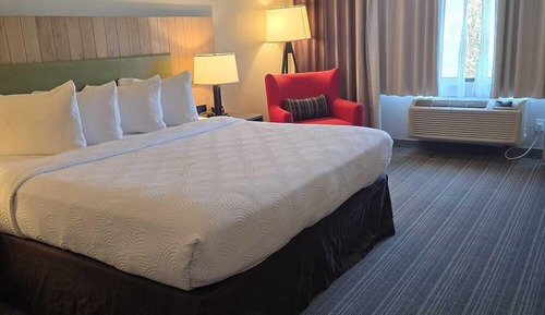 Room, 1 King Bed, Accessible, Non Smoking