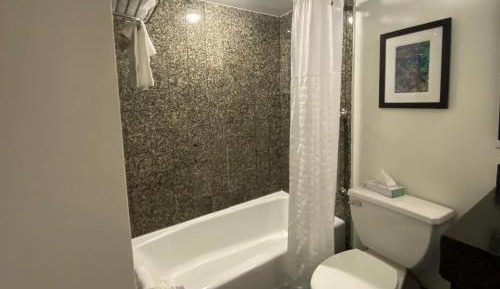 King Room with Mobility Access and Bathtub with Grab Bars, Non-Smoking