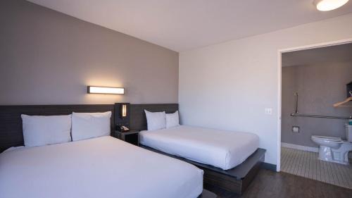 Quadruple Room - Non-Smoking