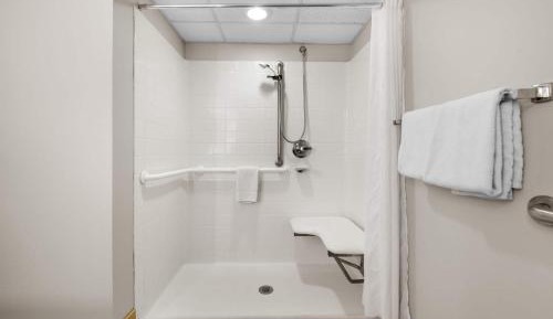 King Room with Roll In Shower and Poolside - Mobility/Hearing Accessible - Non-Smoking