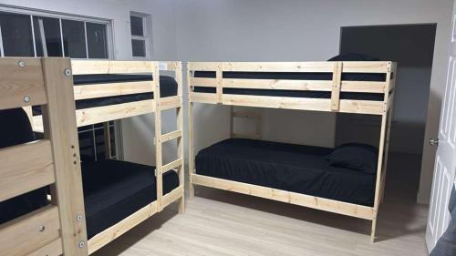 Bunk Bed in Mixed Dormitory Room