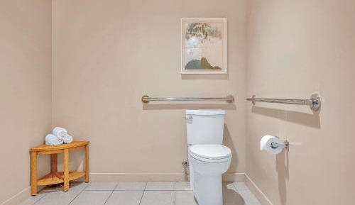 Accessible King Room (Self Check-in)
