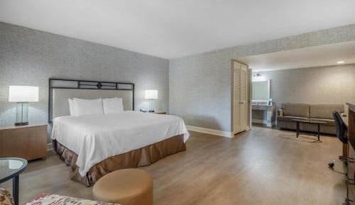 King Room with Spa Bath - Non-Smoking