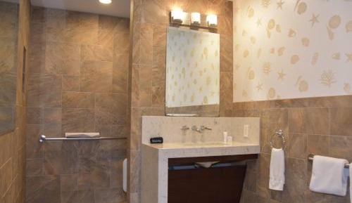 Palm Accessible Suite