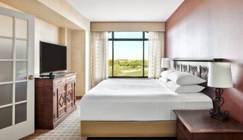 One-Bedroom King Suite with View
