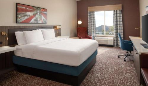 Deluxe King Suite with Roll-In Shower