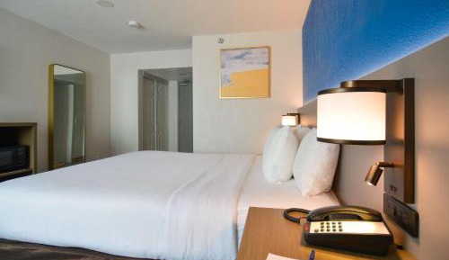 King Room with Roll-In Shower - Disability Access
