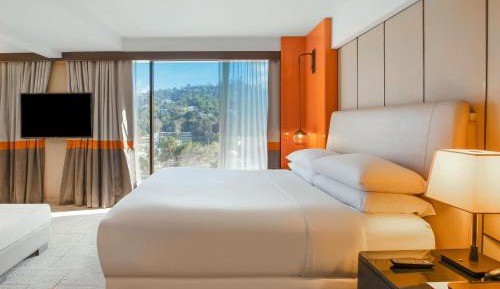 Junior King Suite