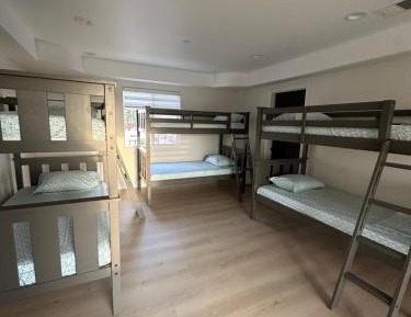 Bunk Bed in Mixed Dormitory Room