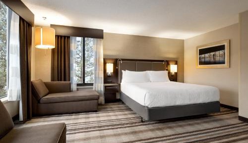 Junior King Suite