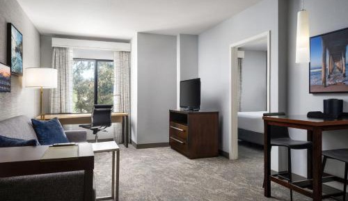 One Bedroom 1 King with Sofa Bed Suite