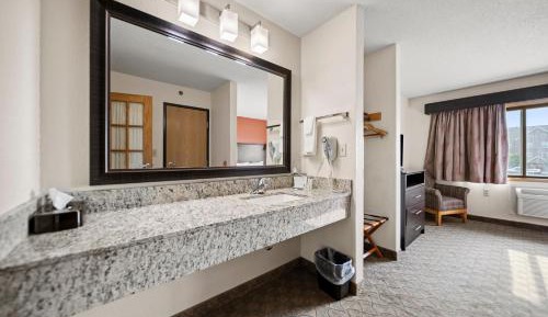 One-Bedroom Premier King Suite - Non-Smoking